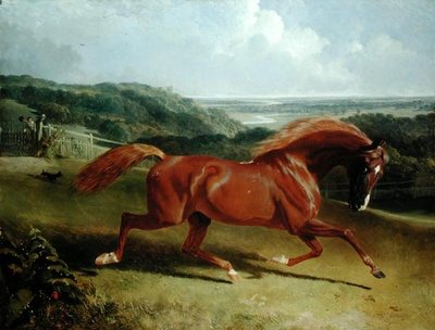 Cheval au galop dans un paysage - John Frederick Herring Senior