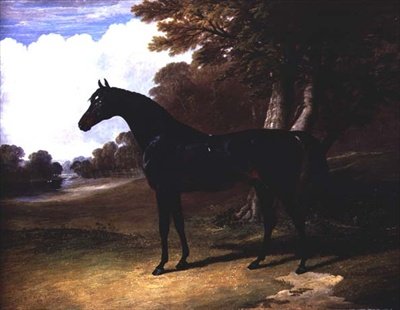 Gaucus, un cheval bai foncé dans un paysage boisé - John Frederick Herring Senior