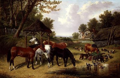 Chevaux près d