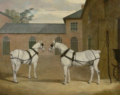 Les Chevaux Gris de M. Sowerby dans sa Cour de Carrosses à Putteridge Bury, Hertfordshire, 1836 - John Frederick Herring Senior