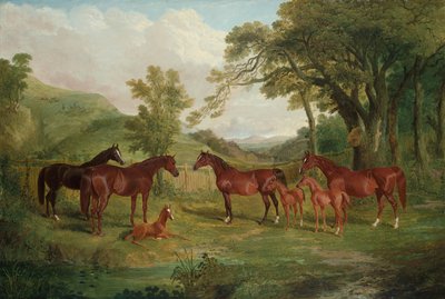 Le haras de Streatlam, juments et poulains - John Frederick Herring Senior
