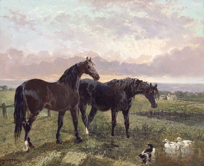 Deux chevaux broutant au coucher du soleil - John Frederick Herring Senior