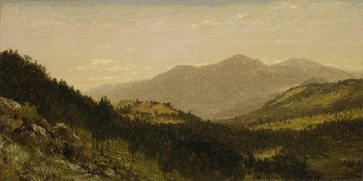 Bergen Park (Colorado) - John Frederick Kensett