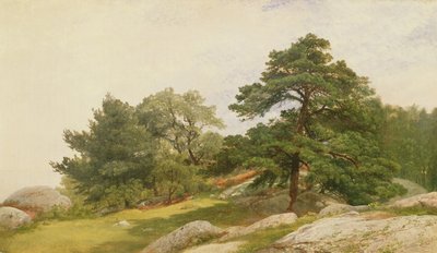 Étude pour des arbres sur la côte de Beverly - John Frederick Kensett