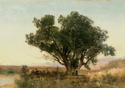 La Front Range, Colorado - John Frederick Kensett