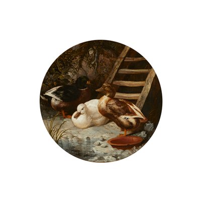 Canards sur une berge - John Frederick Herring Senior