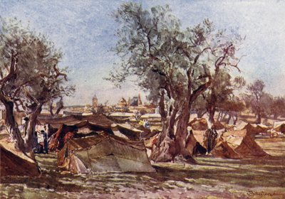 Campement bédouin à l