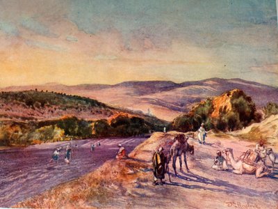 Site de l
