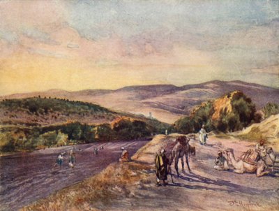 Site de l