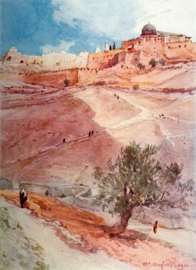 Mur sud de Jérusalem depuis l