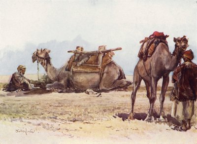 Étude de chameaux et d