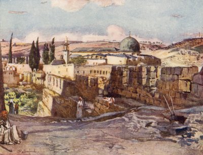 La Mosquée d