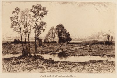 Landes dans la Nouvelle Forêt, près de Lyndhurst - John Fullwood