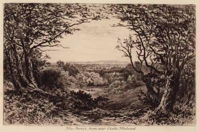 Nouvelle Forêt près du château de Malwood - John Fullwood