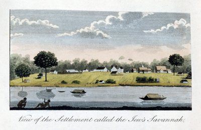 Vue de la colonie appelée la Savannah des Juifs, 1813 - John Gabriel Stedman