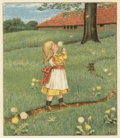 Graines de pissenlit - John George (after) Sowerby