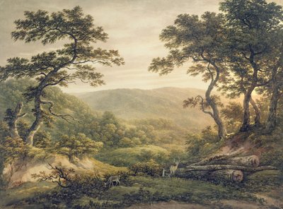 Forêt de Needlewood, Hampshire - John Glover