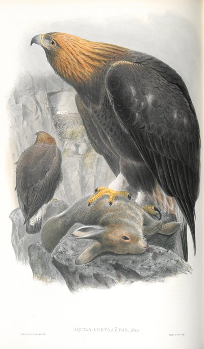 Illustration de l