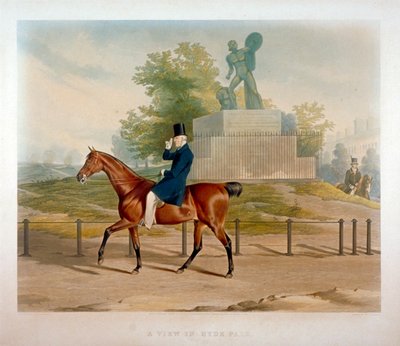 Le Duc de Wellington passant devant la statue d