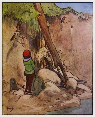 Le martin-pêcheur - John Hassall