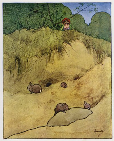 Le lapin - John Hassall