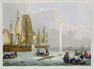 Bateaux approchant une baleine, gravé par Matthew Dubourg, publié par Edward Orme - John Heaviside Clark