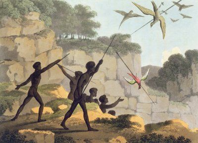 Lancer de la lance, aborigènes chassant des oiseaux de Nouvelle-Galles du Sud gravé par Matthew Dubourg (f.1813-1820) pub. 1813 - John Heaviside Clark
