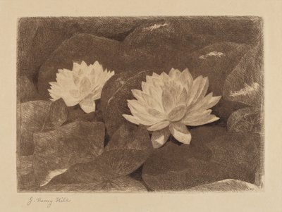 Nénuphars - John Henry Hill