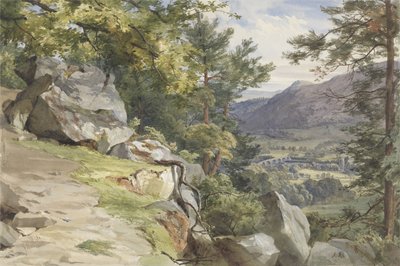 Vue de Craig-y-Barns, Dunkeld, regardant vers le sud, 1855 - John Henry Mole