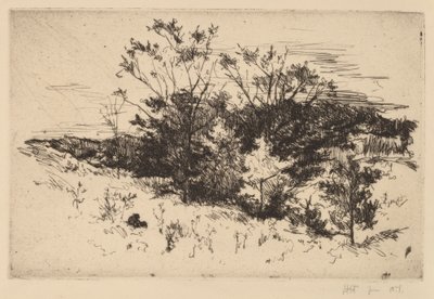 Automne à Avondale - John Henry Twachtman