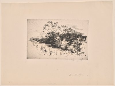 Paysage d