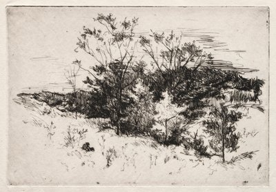 Paysage d