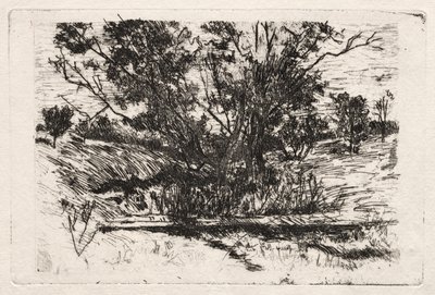 Paysage près de Cincinnati - John Henry Twachtman