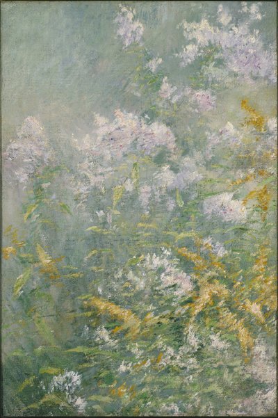Fleurs des prés (Golden Rod et Wild Aster) - John Henry Twachtman
