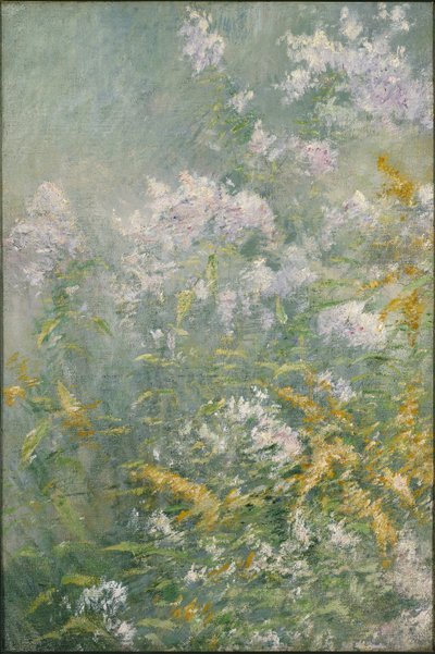 Fleurs des prés (Verge d