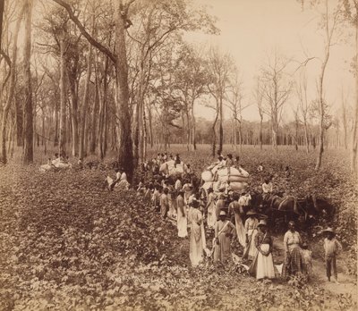 12 heures dans le déboisement, vers 1891 - John Horgan