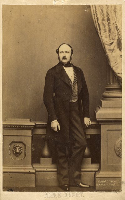 Prince Consort. [François Charles Auguste Emmanuel Albert, prince de Saxe-Cobourg-Gotha]. - John Jabez Edwin Mayall