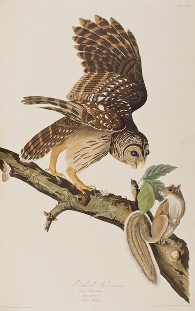 Illustration de 