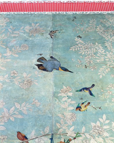 Un martin-pêcheur ceinturé, découpé de 