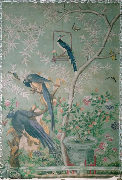 Une paire de geais magpies, découpés de 