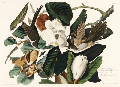  - John James Audubon