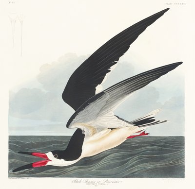  - John James Audubon