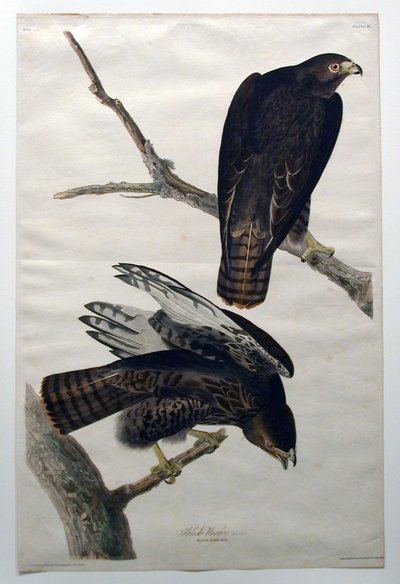  - John James Audubon