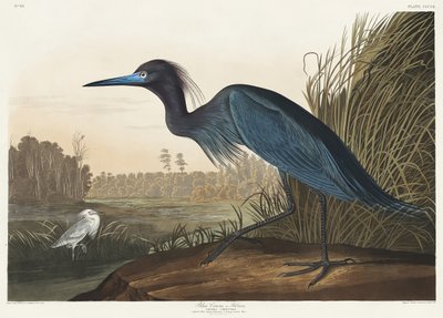  - John James Audubon