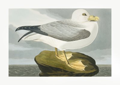  - John James Audubon