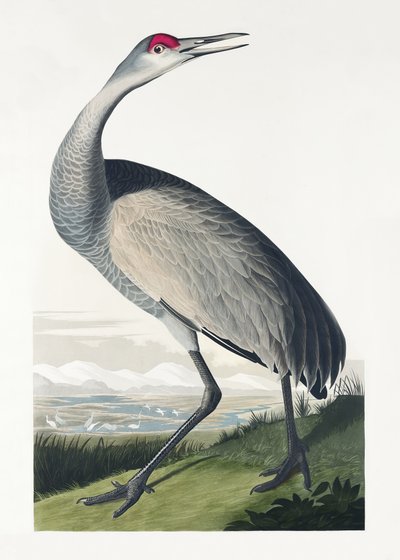  - John James Audubon
