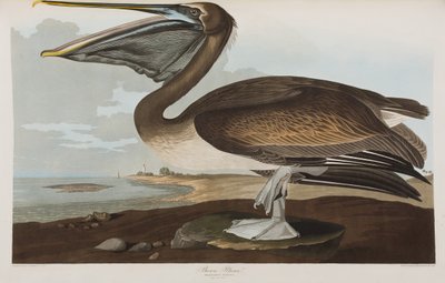 Illustration de 