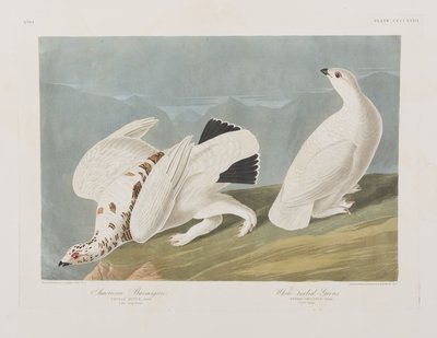 Illustration de 