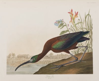Illustration de 