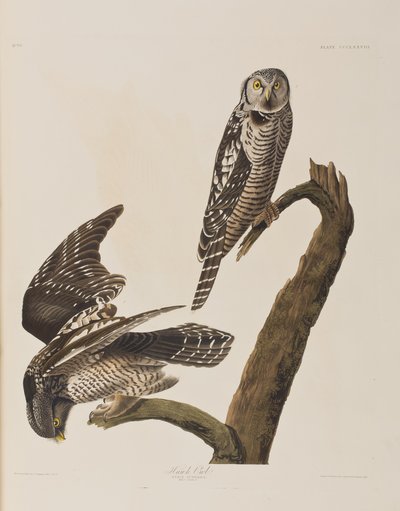 Illustration de 